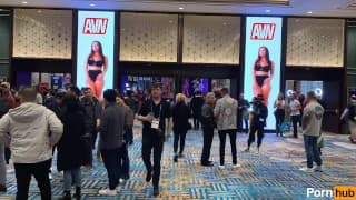 AVN 回顾与 Pornhub