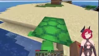 Minecraft让我们玩2