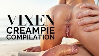 VIXENPLUS 暨填充汇编