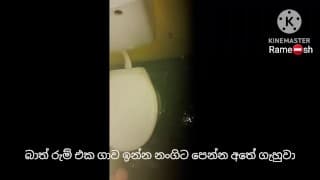 Bathroom flash dick අල්ලපු ගෙදර නංගිට පෙන්න පයිය හෙදුවා.නංගී බලං ඉන්නේ