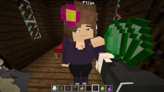 在Minecraft中Giving面部护理